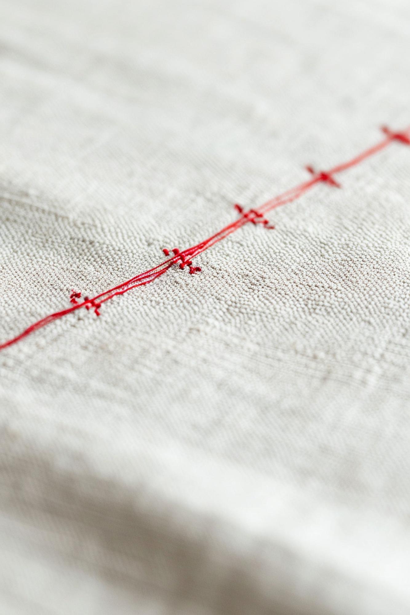 Detaliu broderie modernă pe pânză naturală
